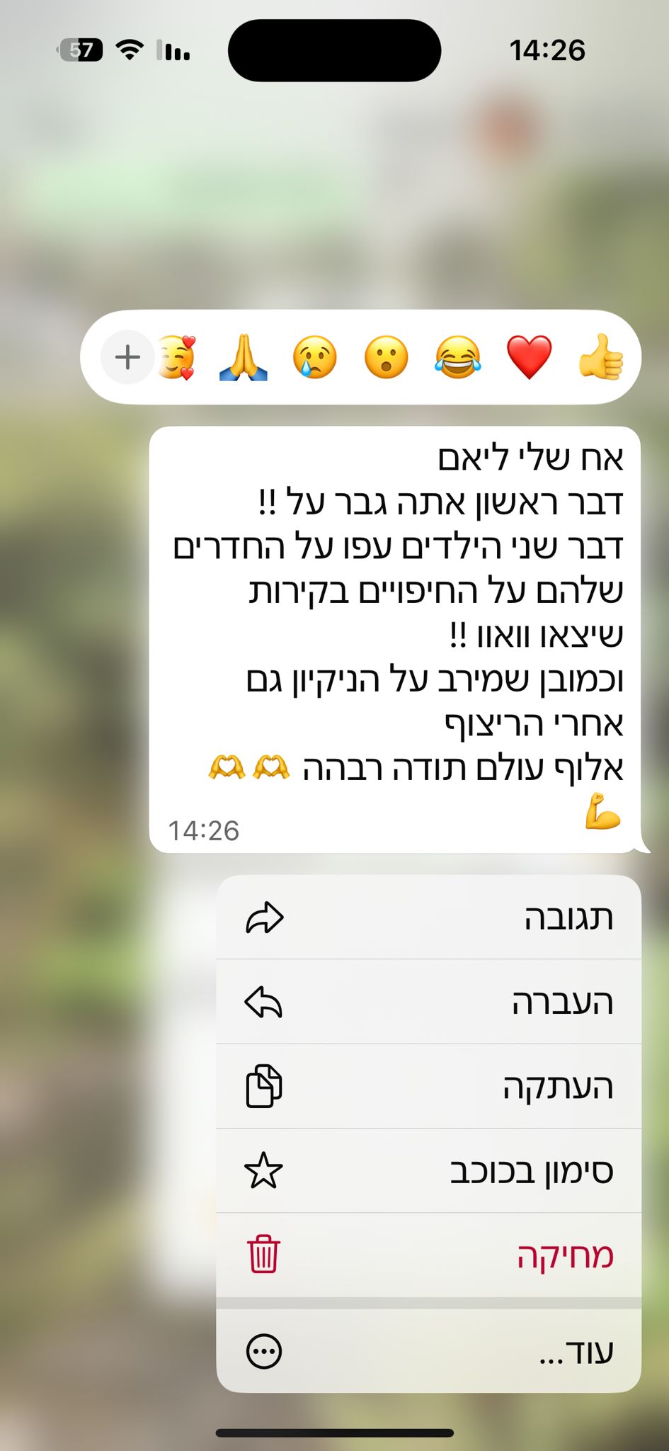 ביקורת 4